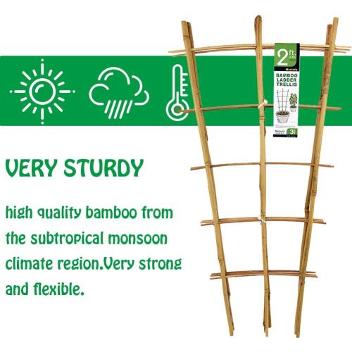 Natural Bamboo Trellis 24 Inches Tall, Mininfa Garden Ladder Trellis, Plant for Climbing Plants, Vegetables, Pots - 3 Pack
