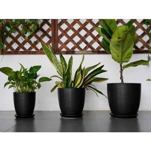 Ceramic Plant Pot - 8 Inch Ceramic Planter for Indoor Plants Glazed Round Flower Pot with Drainage Hole and Saucer Black