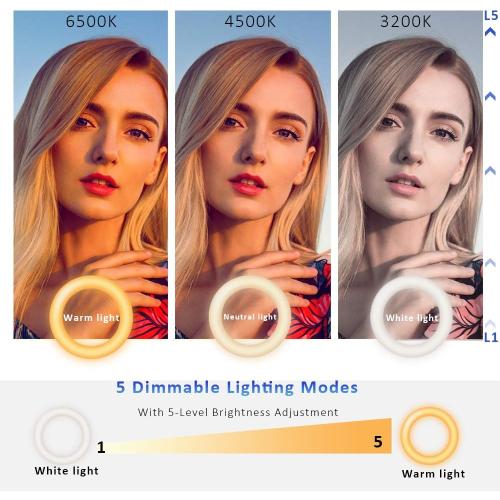 Video Conference Lighting Kit, Ring Light for Monitor Clip On,for Remote Working, Distance Learning,Zoom Call, Self Broadcasting and Live Streaming, Computer Laptop Video Conferencing