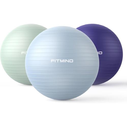 FITMIND_ Extra Thick Exercise Ball Yoga Ball 22in/26in/30in for Workout Pregnancy Stability,Anti-Burst and Slip Resistant Swiss Ball with Pump for Yoga, Pilates, Fitness,Birthing,Physical Therapy