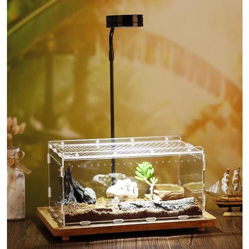 Clear Magnetic Acrylic Case, Micro Habitat Small Tarantula Enclosure Enclosure for arboreal Tarantula Scorpion Sling Lizards Mantis Snake Gecko Jumping Spider Snail Insect Isopods