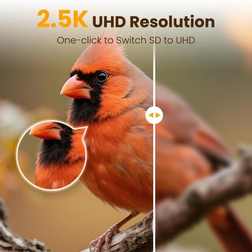 Smart Bird Feeder with Camera, 2.5K UHD Bird Camera AI Identifies 11,000  Bird's Species, Real-time Bird's Videos & Pictures, Solar Powered Wireless Outdoor, Ideal