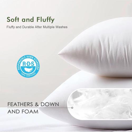 Feathers Down Pillow Inserts 14x24, Set of 2, 100% Organic Cotton Shell, Soft Decorative Lumbar Pillow Insert for Living Room Sofa, Couch, or Bed (White)
