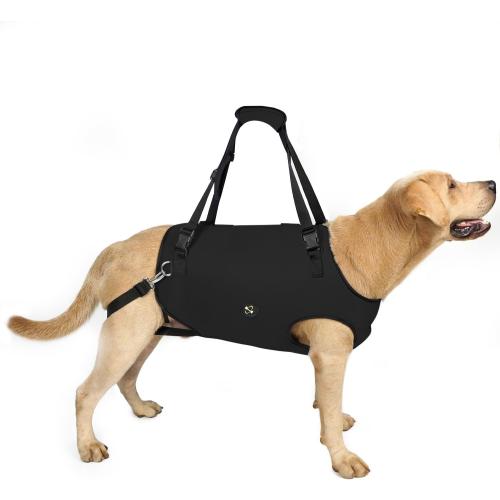 Coodeo Dog Lift Harness, Pet Support & Rehabilitation Sling Lift Adjustable Padded Breathable Straps for Old, Disabled, Joint Injuries, Arthritis, Loss of Stability Dogs Walk (Black, XL)