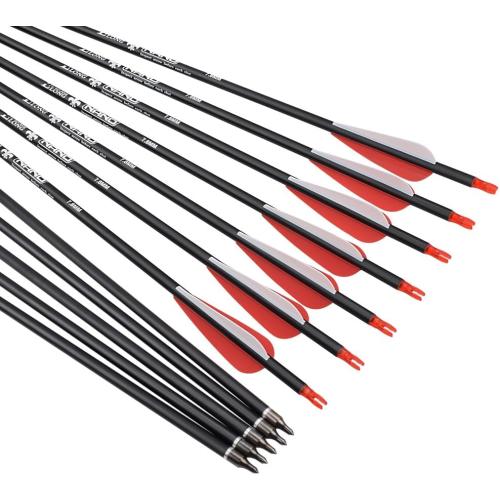 Carbon Arrow Hunting Arrows with 100 Grain Removable Tips for Archery Compound & Recurve & Traditional Bow Practice Shooting (Pack of 12)