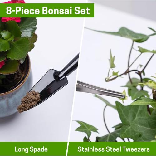 Bonsai Set 8 Pcs - Include Pruner, Fold Scissors, Mini Rake, Bud & Leaf Trimmer Set by ZELARMAN
