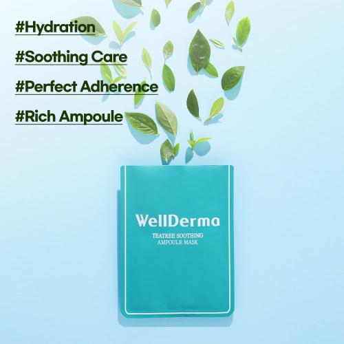 WELLDLERMA Chaisul Tea EXT Soothing Facial Mask (Sheet type), Korean Face Mask, Green Tea Extract for Troulbel Care, Powerful Hydration, Rich Ampoule, Natural Fabric 10ea (2PK)