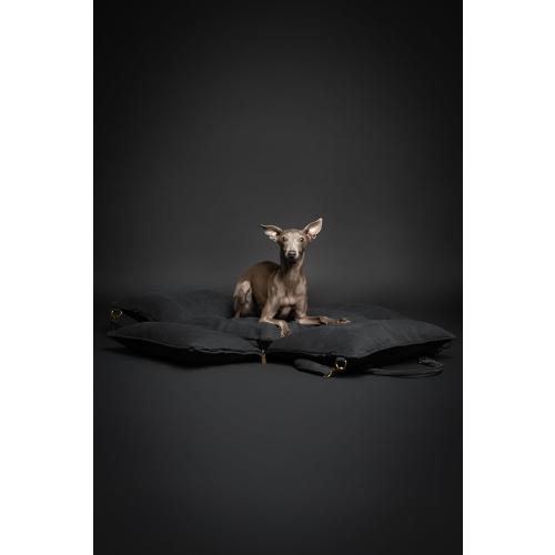 Noah & Paw Dog Car Seat Carrier, Small Dog Car Seat for Small Medium Pets with Harness Clip, 4X Safety Feature, Booster Travel Bed, Waterproof Washable, Orthopedic Foam Filling, Canvas Collection