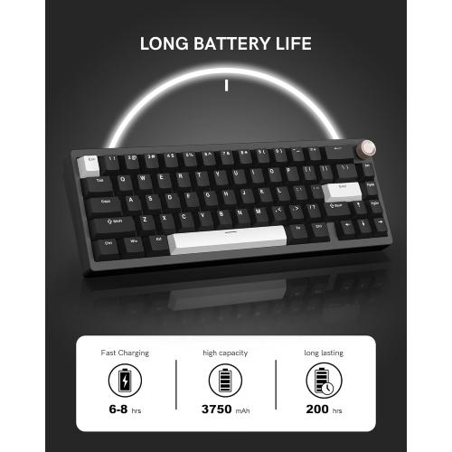 Womier SK65 Wireless Mechanical Gaming Keyboard with Knob, 60 Percent Aluminium Keyboard for PC, Bluetooth 5.0/2.4GHz/USB-C Wired, Hot Swappable Custom Lineaner Switch, RGB Backlit (Black V2)