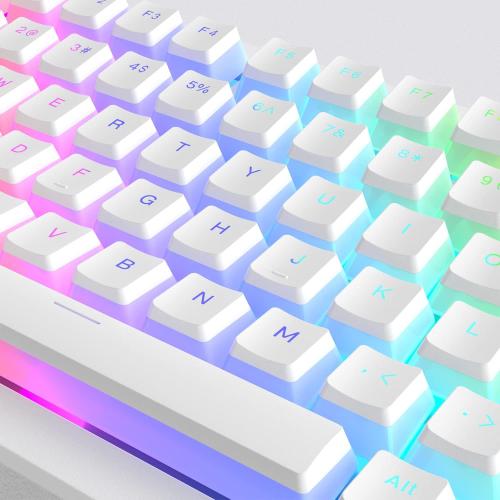 Womier Pudding Keycaps, PBT Shine Through Keycaps 165 Keys Set Custom Key caps Set OEM Profile, Universal Compatiability for 100%, 75%, 65%, 60% Keyboard-White