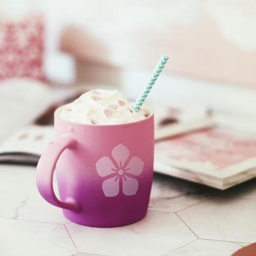 ANT Transparent, 24 x 15’, Permanent Vinyl Roll, Adhesive Vinyl Roll, for DIY Project, Decal, Sticker, Compatible with Cricut, Cameo, Silhouette, Weather-Resistant