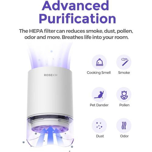 1-Year Pack Air Purifier Replacement Filter for AP001R, True HEPA Filter, 4 Pack