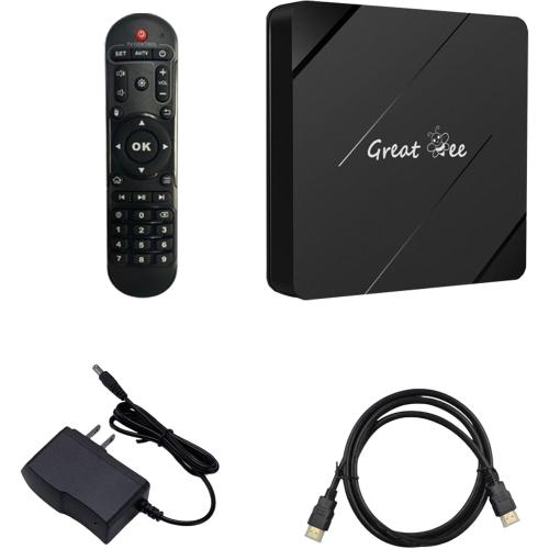 Great Bee Arabic Television Remote Controller for Muslim