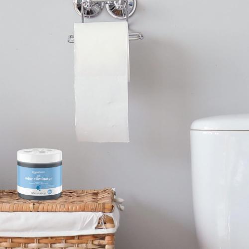 Amazon Basics Gel Odor Eliminator, Activated Charcoal, Fragrance Free, 17 Oz, 1-Pack