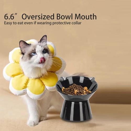 Detachable Elevated Cat Bowls, 15° Tilted Raised Cat Food Bowl Anti-Vomiting,Whisker Friendly, Adjustable Cat Dishes for Protecting Spine,Adult Kitten