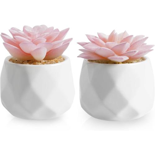 VIVERIE Mini Succulents Plants Artificial in Pots-Pink, Christmas Small Fake Succulents Plants for Home Decor Indoor for Women, White Ceramic Faux Succulents, Set of 2, Gifts for Mom