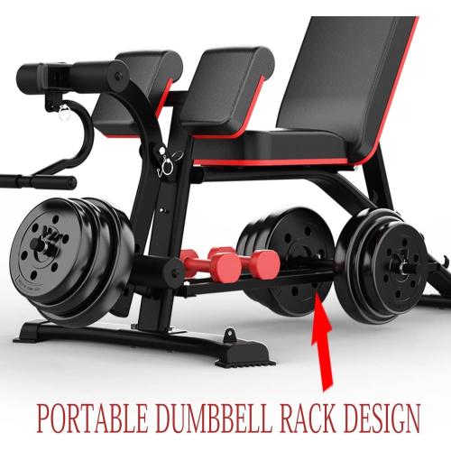 Utility Weight Bench with Leg Extension - Multi-Position Adjustable Bench for Strength Training, Dumbbell Exercise and Ab Workouts