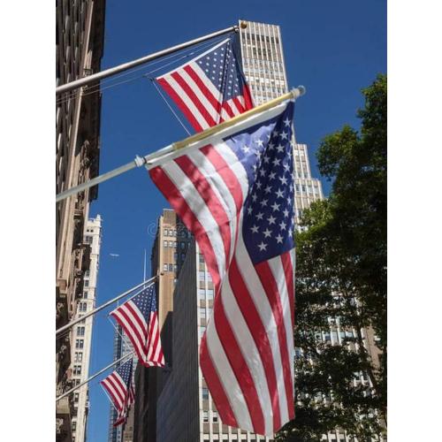 Tangle Free Flag Pole Mounting Ring Clip - Rotating Flapole Mounting Rings with Metal Clips 360 Degree Free Rotating Adjustable Fasteners 1 Pair (Black 1.26 Inch)