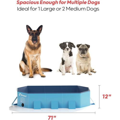 Peteast Foldable Dog Pool -  Hard Plastic Portable Pet Bath Tub with Non-Slip & Reinforced Stability, Collapsible Design for Indoor Outdoor Backyard Use (Blue)