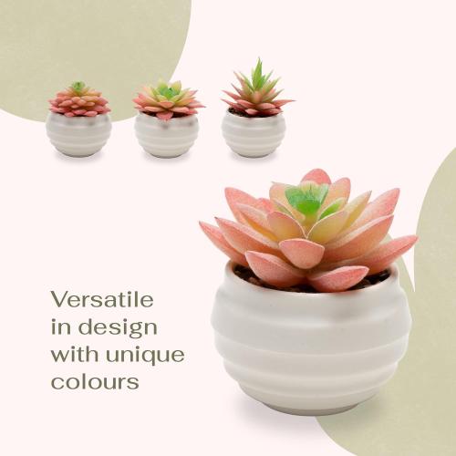 VIVERIE 4Pcs Pink Green Artificial Succulents in Pots (Plastic)- Small Artificial Plants, Office Decor, Office Home Halloween/Christmas Decor Gifts-Faux Plant Gifts for Women