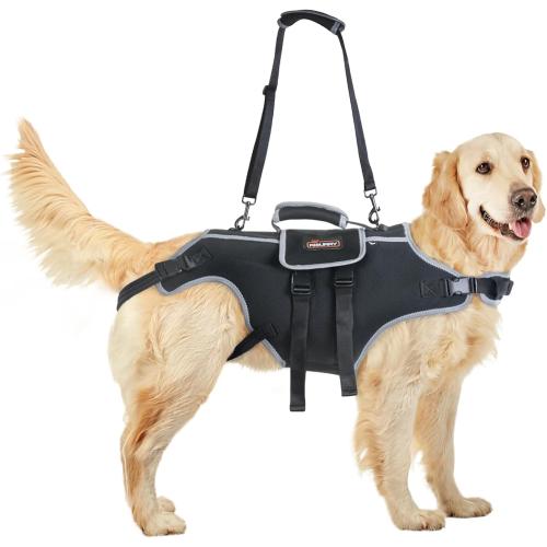 Size XL Color Black Full Body Dog Lift Harness with Handle & Adjustable Lifting Straps - Dog Carrier Sling for Joint Injuries, Arthritis, Paralysis - Up Stairs (XL)