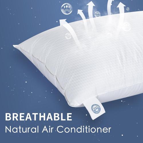 Luxury Canadian White Goose Down Pillow Standard Size- 750  Fill Power, 800 Thread Count Cotton Shell, Soft Down Pillows for Sleeping, Hotel Collection Pillow for Neck Pain Relief (1 Pack, 20x26)