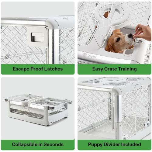 DIGGS Revol Collapsible Dog Crate with Wheels - Premium Portable Dog Crate - Safe, Stylish, and Convenient Indoor Kennel (Ash, Medium)
