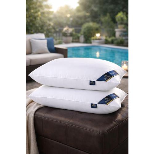 2-Pack Luxury Soft Down Alternative Sleeping Pillows for All Sleep Positions