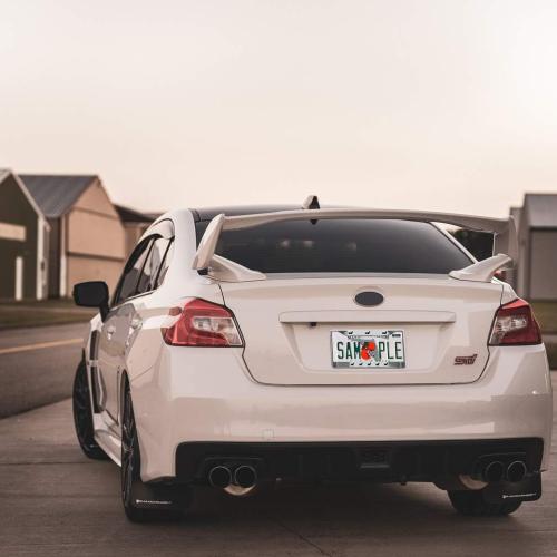 Fastasticdeals Metal Insert License Plate Frame Dachshund Black Weatherproof Car Accessories Chrome 2 Holes Solid Insert black ?