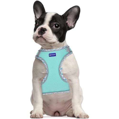 Step in Mesh Dog Harness and Leash Set Breathable Air Mesh Harness | Reflective Escape Proof Dog Harness Vest No Choke Lightweight Mesh Dog Harness