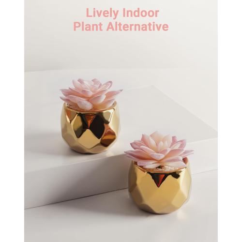 VIVERIE Mini Succulents Plants Artificial in Pots-Pink with Golden Ceramic, Christmas Small Fake Succulents Plants for Home Decor Indoor for Women, Set of 2, Gifts for Mom