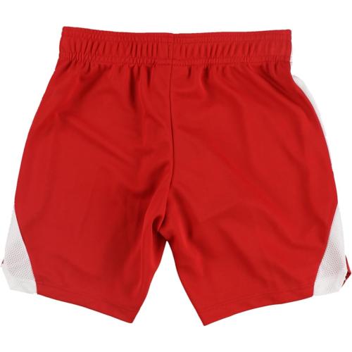 Size Large Nike Boys Hertha II Unisex Athletic Workout Shorts, Red, Big Kids (8-20), L