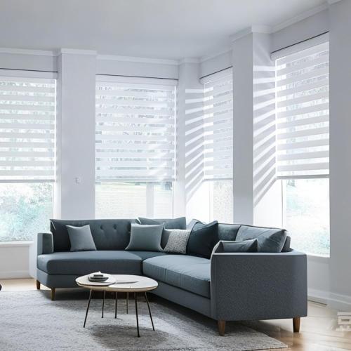 SUNWAY Corded Zebra Roller Blinds for Windows, Dual Layer Zebra Roller Sheer Blind, Easy Light Control for Privacy Light Filtering Roller Shades for Windows (19 W x 72 H, White)