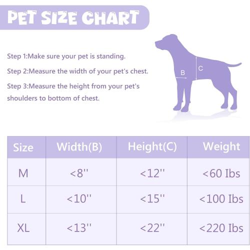 Durable Pet Door, Aluminum Door for Dog and Pets, Large Doggie Door with Automatic Closing Magnetic Flap, Ideal for Interior and Exterior Doors, Screen and Wall, Weather Resistant