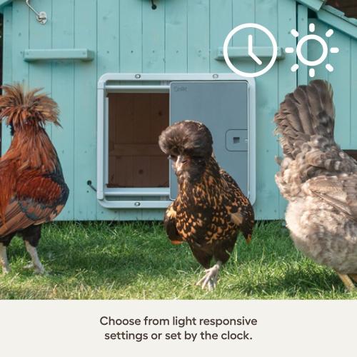 Omlet Smart Automatic Chicken Coop Door Opener | Wi-Fi Enabled | Programmable with App | Operated by Light Sensor or Timer | Easy to Install | Mains or Battery Powered | Built-in Safety Sensors Grey