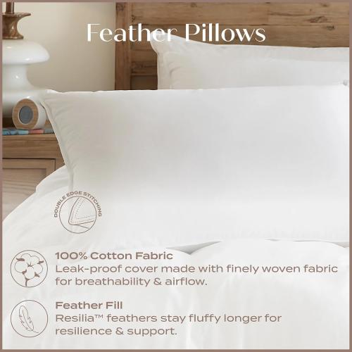 Touch of Down Pillow Queen Found in Holiday Inn Express by IHG Hotels Set of 2, White