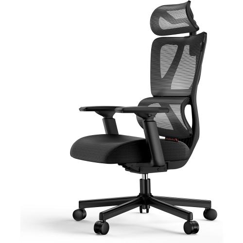 ProtoArc Ergonomic Office Chair for Home Office, High Back Desk Chair with Thick Spring Cushion, Adjustable Headrest, Armrests, Big and Tall Mesh Computer Chairs for Long Hours Sitting, EC100 - Black