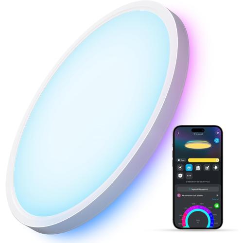 Govee Smart Ceiling Light, RGBIC LED Ceiling Light Fixture, 2400LM Flush Mount Light Fixture, DIY Colors, Works with Matter Alexa, 2700K-6500K Lights for Bedroom, Living Room,12 Inch, 1 Pack (White)