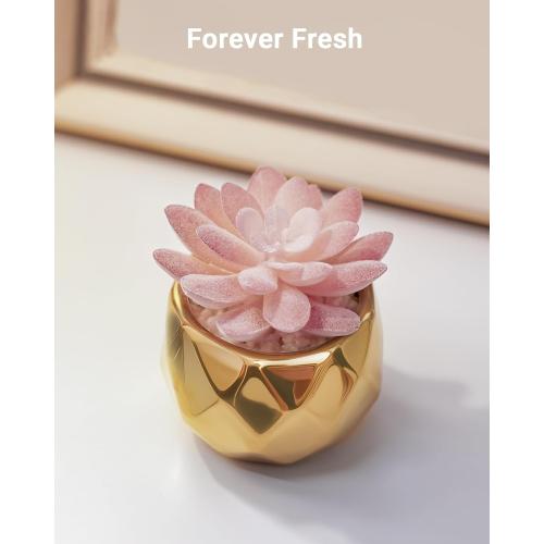 VIVERIE Mini Succulents Plants Artificial in Pots-Pink Succulents with Golden Ceramic, Small Fake Succulents for Home Decor Indoor for Women, White Ceramic Faux Succulents, Gifts for Mom-1 Pack