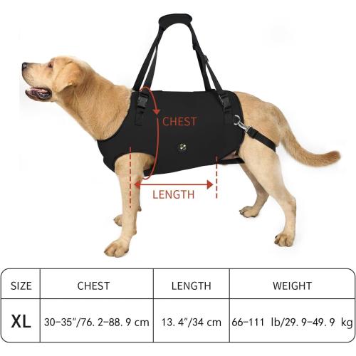 Coodeo Dog Lift Harness, Pet Support & Rehabilitation Sling Lift Adjustable Padded Breathable Straps for Old, Disabled, Joint Injuries, Arthritis, Loss of Stability Dogs Walk (Black, XL)