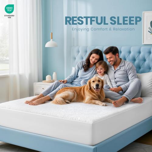 Queen Size Mattress Protector Waterproof, Premium 200 GSM Terry Mattress Cover, Soft & Breathable Bed Cover, Fitted Sheet Style Stretchable Deep Pockets 17 by Utopia Bedding (White)
