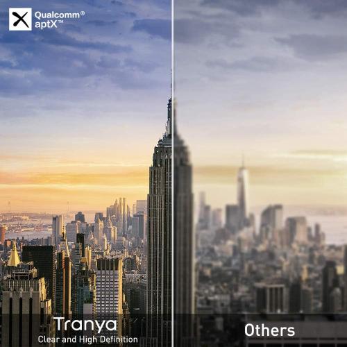 Black [Upgraded Version] TRANYA B530 Bluetooth 5.0 Deep Bass True Wireless Earbuds, Aptx/AAC Compatible Sports Wireless Headphone with CVC8.0 Noise Cancellation, 80 Hours Playtime with Charging Case