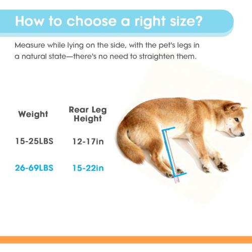 TailWaggers Dog Wheelchair for Back Legs | Adjustable Mobility Aid | All-Terrain Wheels