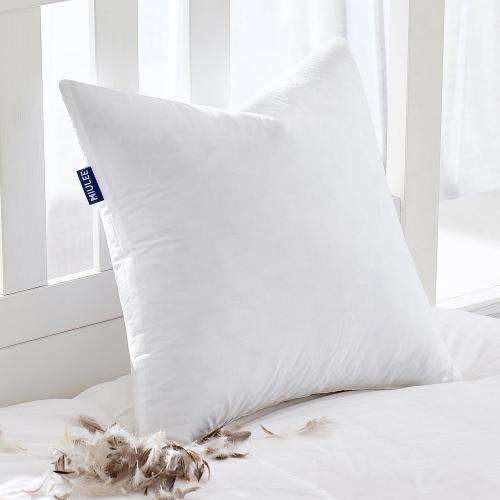 MIULEE Feather Pillow Insert 22x22, Decorative Down Throw Pillow Insert Fluffy Throw Pillow Cotton Fabric for Sofa Bed Couch, set of 2
