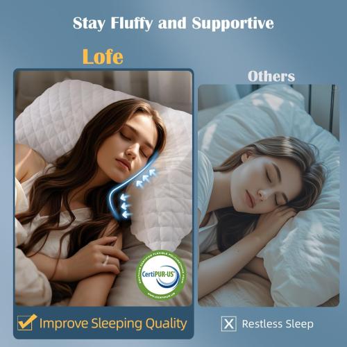 Side Sleeper Pillows for Adults - Curved Pillow with 3 Compartments for Neck Pain Relief, Adjustable Crescent Pillow Side Sleeper with Supportive CertiPUR-US Shredded Memory Foam, 19 * 29in