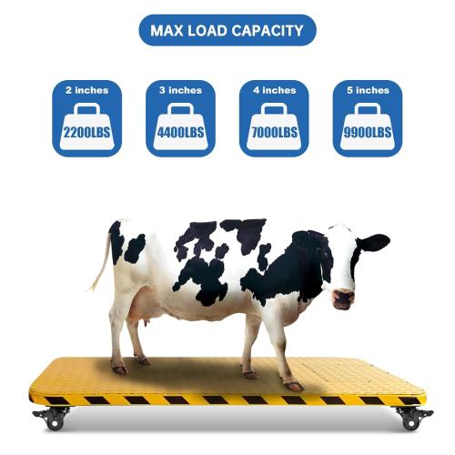 W B D WEIBIDA 2-inch Plate Swivel Caster Wheels Set of 4 Heavy Duty, Load Capacity 2200lbs, Low Gravity Center Black Extra Width Caster with Brake, Durable & Quiet & Sturdy Nylon Wheels for Industrial