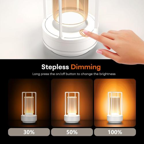 Rechargeable Cordless Small Metal Table Lamp, Stepless Dimming, 3-Color CAME JUST ONE !