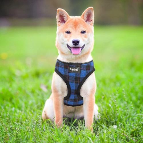Size S PUPTECK Soft Mesh Dog Harness and Leash Set Pet Puppy Cat Comfort Padded Vest No Pull Harnesses, Navy Blue,