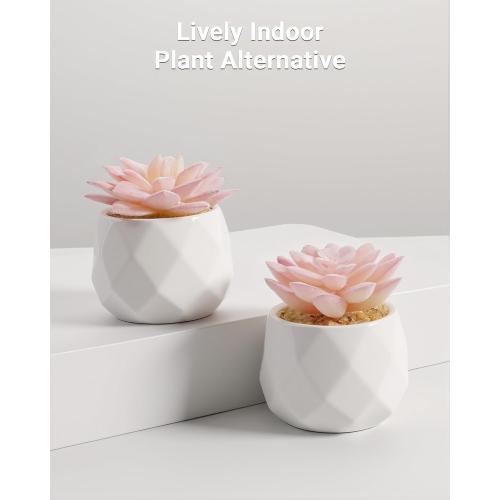 VIVERIE Mini Succulents Plants Artificial in Pots-Rose Pink, Christmas Small Fake Succulents Plants for Home Decor Indoor for Women, White Ceramic Faux Succulents, Set of 2, Gifts for Mom