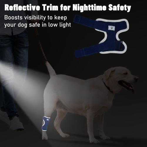 Dog Leg Braces for Back Leg- Hock and Ankle Joint Support Brace for Rear Legs with 2 Metal Strips, Reflective Edging for Sprain, Injury, Arthritis, Wound Recovery,Blue,L